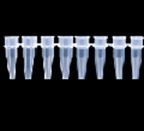 0 2ml 8 pipe PCR octal pipe (including flat cover) PCR row pipe eight row pipe 200 bags