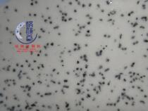 Warm oxidizing glaze in the bacon environmental protection lead-free ceramic glaze - (medium temperature with light partridge speck)