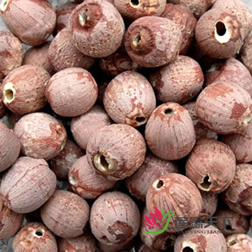 New Lotus Wins All Day Honghu Lotus Seed Without Core With Leather Wild Hong Lake Red Lotus Seed Race Xianglian Origin
