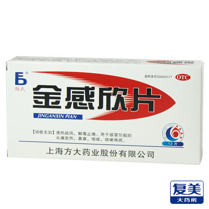 方大 金感欣片