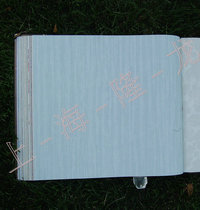 Oya wallpaper Fanya Wallpaper 5D1901 5D1902 5D1902 5D1903 5D1905 5D1904 5D1906 5D1906 5D1906 5D1906