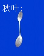 Stainless steel casting tool:Akiba