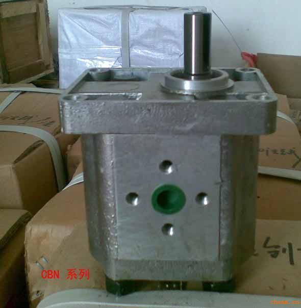 Wan'an Wanfeng two-column lift gear pump Lift accessories CBN-E series lift hydraulic pump