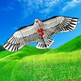 Детские воздушные игрушки на открытом воздухе, Eagle Kite Special Price Stalls весной, зеленый воздушный змей из весеннего тура