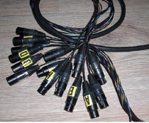 Japan Jianmei CANARE 8-way gold-plated balance Cason finished wire extension cord jumper