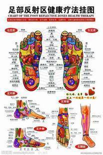 Foot reflection area health therapy wall chart standard human body acupoint map color foot massage map wholesale