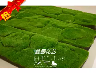 30 * 85cm hair planting stone skin simulation turf lawn Moss stone bonsai plant Moss