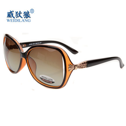 威狄狼 太阳眼镜新款潮流大框太阳镜女欧美墨