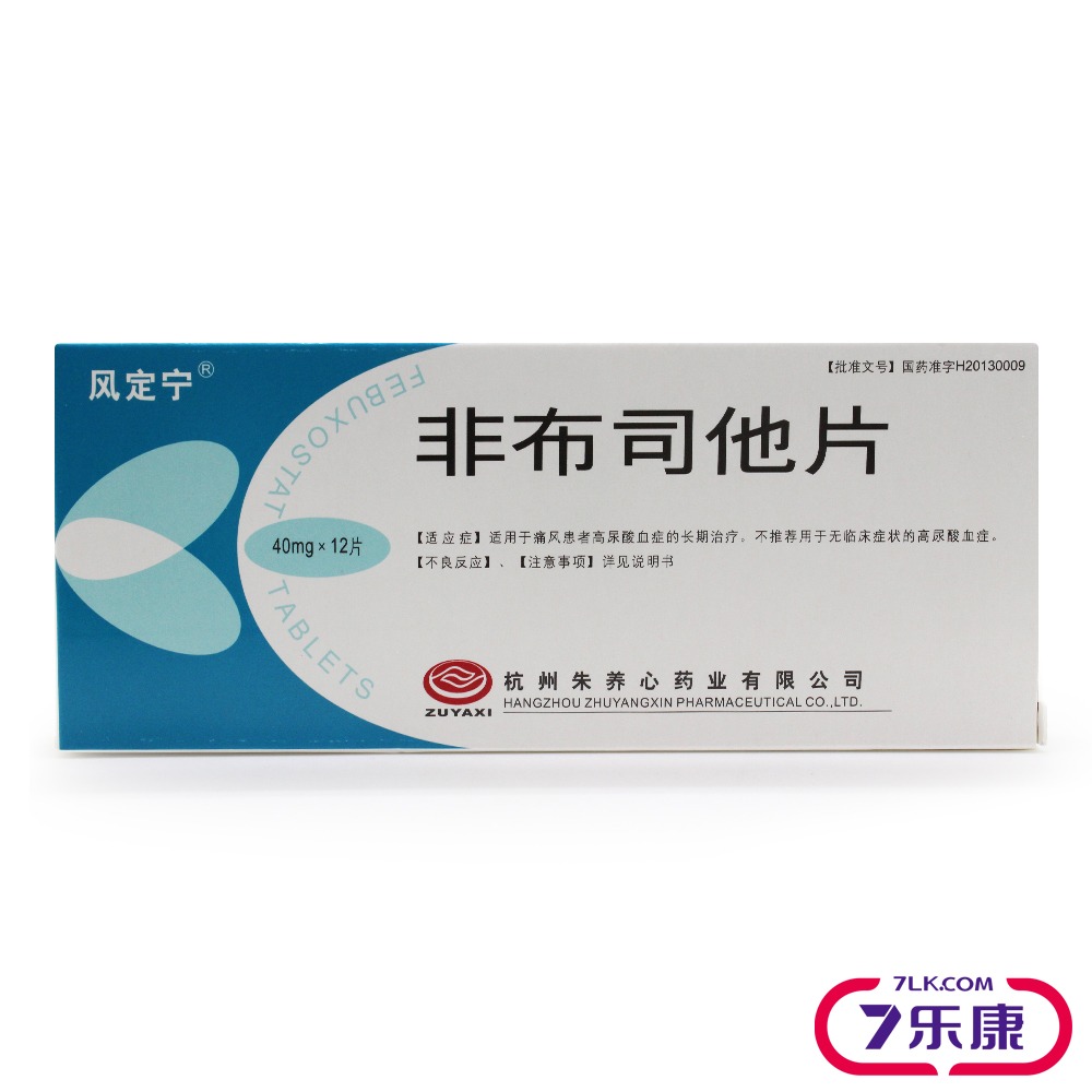 风定宁 非布司他片 40mg*12片/盒