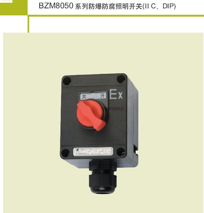 Shanghai Huarong Technology explosion-proof anti-corrosion lighting switch BZM8050-10