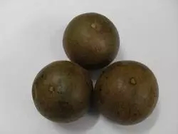 Consultation thanks to the new goods Chinese herbal medicine herbal medicine grosvenori 1 5 Yuan one easy-to-break pint