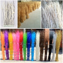 Dry Flower Bouquet Dragon Wicker Dried Branches Xuanguan Decorative Floral Branches Natural Living-room Bedroom Floor Dining Room Partition Shop Windows