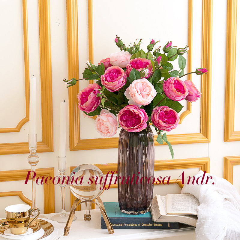 ��Ӱ�����廨�gyyxjh-2551