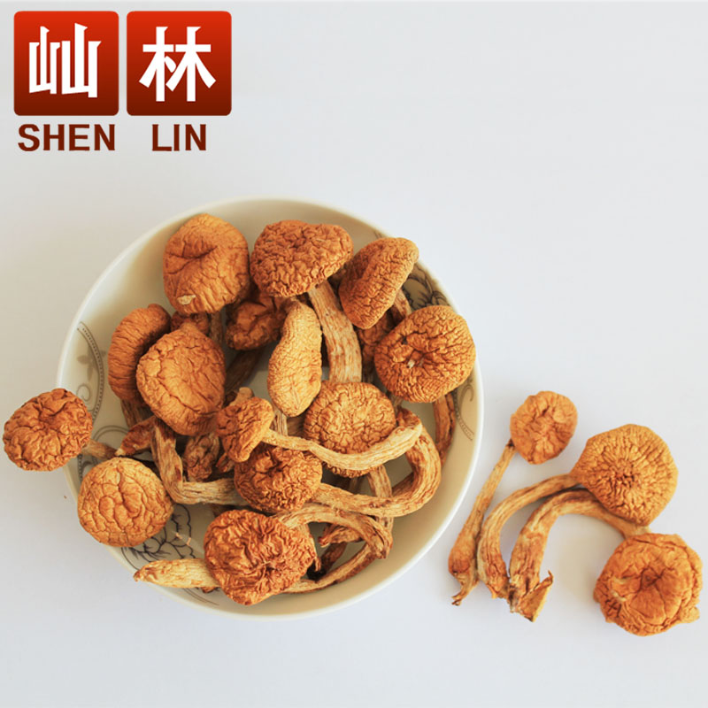 Smooth mushroom 250g Smooth mushroom Smooth mushroom Mushroom soup Delicious mushroom Edible mushroom