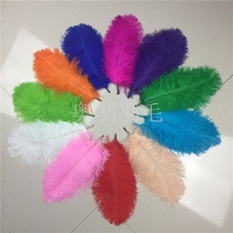 South Africa Imports Ostrich Wool 20-25cm Clothing Accessories Performance props DIY accessories Stage Performance Supplies