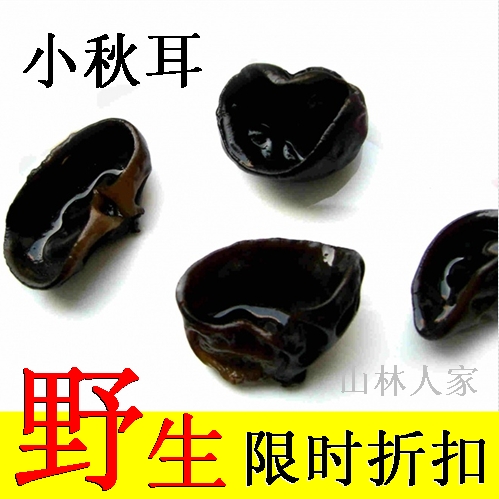 3 copies of mail-free tussah wood section late autumn agaric head stubble ears northeast black agaric wild mountain ears ear