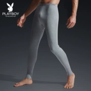 Playboy quần mùa thu nam cotton mỏng phần ấm quần cotton cotton quần legging quần quần trẻ