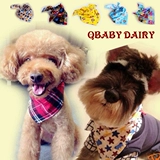 Специальное предложение с собакой Тедди Баррин Шерри Одежда