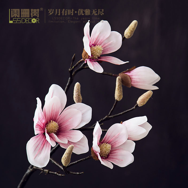 ��ɺ���չ�������֦F565