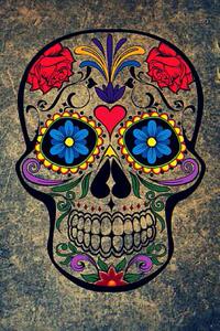 【预售】Sugar Skull Journal: 160 Page Lined ...