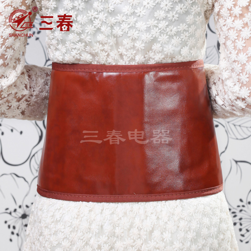 三春正品多功能电热护腰带暖腰带护腰带男女通用 包邮