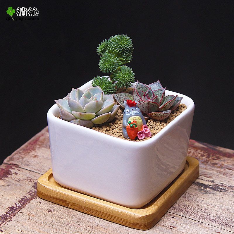 韩国多肉陶瓷花盆花器宜家简约日式白色白瓷肉肉植物小花盆zakka