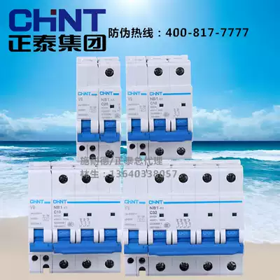 Zhengtai miniature circuit breaker type C NB1-63 1 2 3 4P V9 air-open electronic undervoltage tripper
