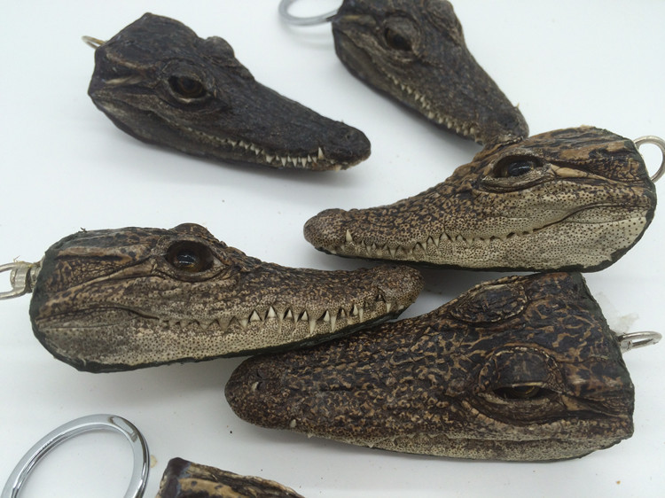 Thai Mini Crocodile Head Pendant Real Crocodile Head Jewelry Keychain