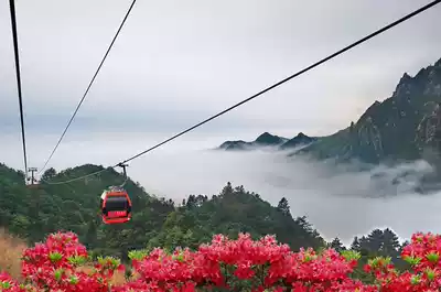 Jiuhua Mountain) 2 days 1 night) Free travel)Spring tour Jiuhua(Play flower platform)Experience the high-altitude plank Road)With accommodation package