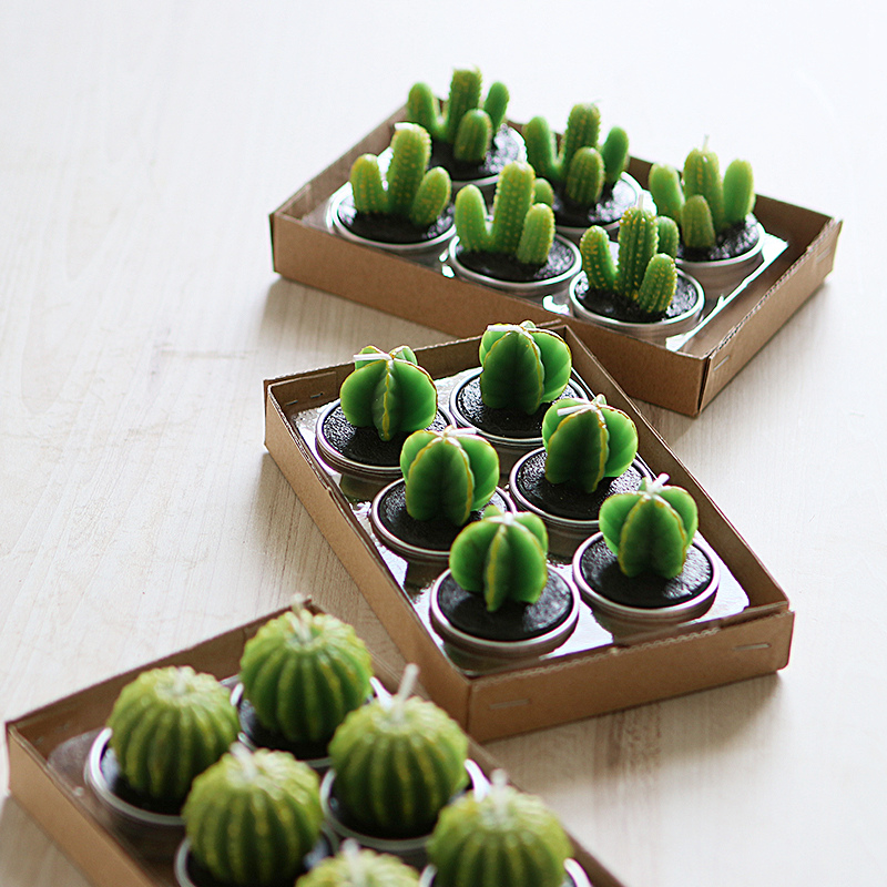 Black pictures asian plant with fleshy porn jailbait
