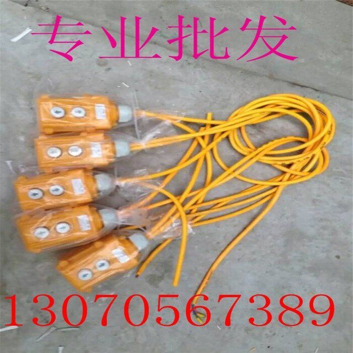 COB-21 crane direct control switch 380V hoist micro-electric hoist switch hoisting grain machine to up and down switch