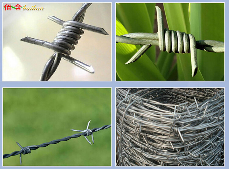 Baihan 50m 5KG reel—barbed wire, barbed wire, barbed wire, barbed wire, barbed wire
