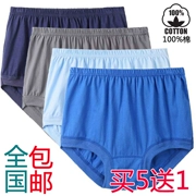 Đồ lót nam tam giác cotton đồ lót trung và già tuổi trung eo lỏng lẻo kích thước lớn đồ lót màu rắn mùa hè quốc gia gói