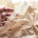 Máy bay giấy Hàn Quốc nhập khẩu mùa thu Amillis ren ngắn tay áo mỏng bụng bằng nhựa áo vest nữ