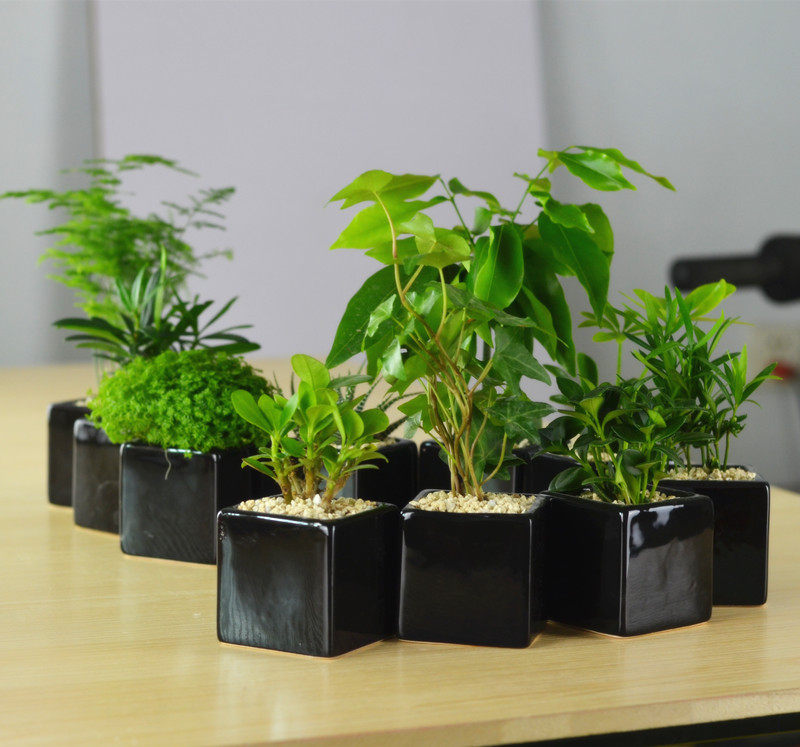 �Ӻ�ԵС����hf