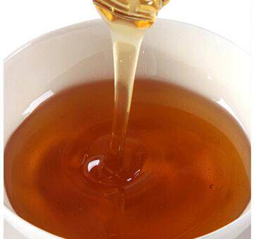 Eucalyptus Honey for Honey Gliders