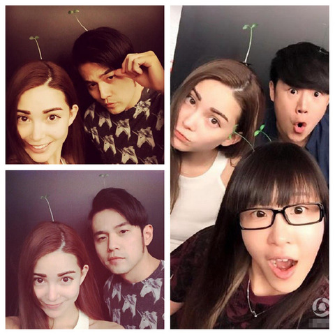 Cute artifact Small grass hairpin Adorable artifact Germination decoration Head long grass bean sprout Feng style early education European pattern Western gourd