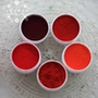 Tự làm son môi Son môi thủ công Mỹ nhập khẩu thực vật Son môi bột trước bột 1 g - Son môi son twenty four hour