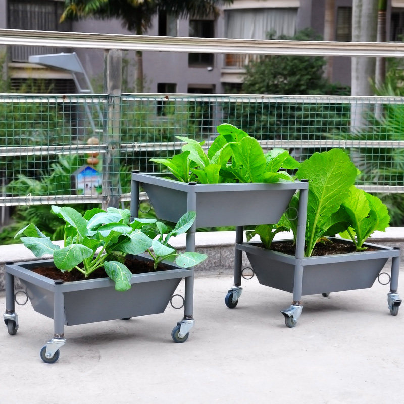 �������մ��⻨��XY360