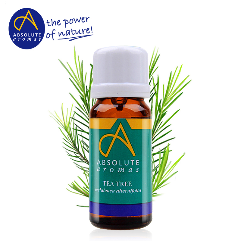 Absolute Aromas英国香缇 茶树单方精油10ml/30ml