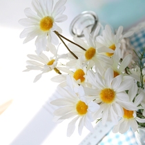 European-style pastoral small fresh white daisy simulation flower fake flower fabric silk flower home living room decoration flower arrangement flower