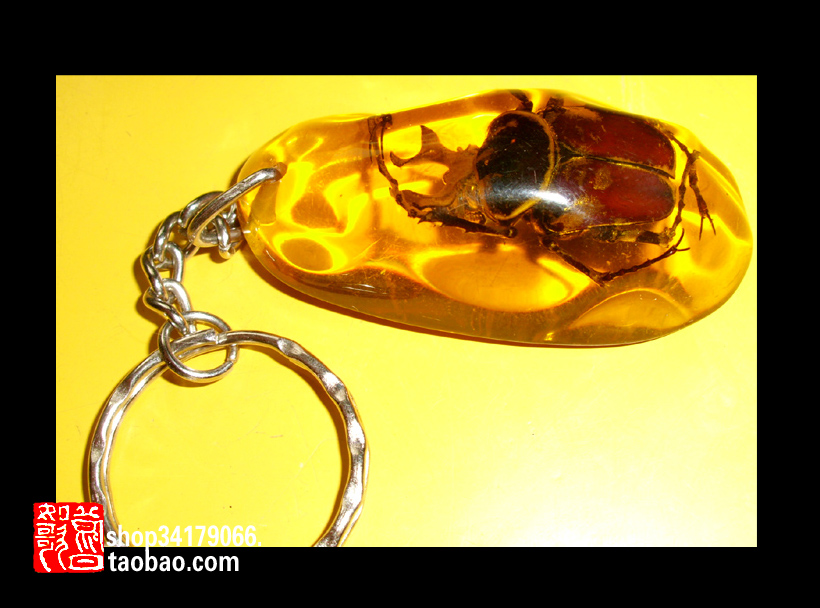 (Business Gift Keychain) high-end artificial amber insect keychain (large beetle 005)