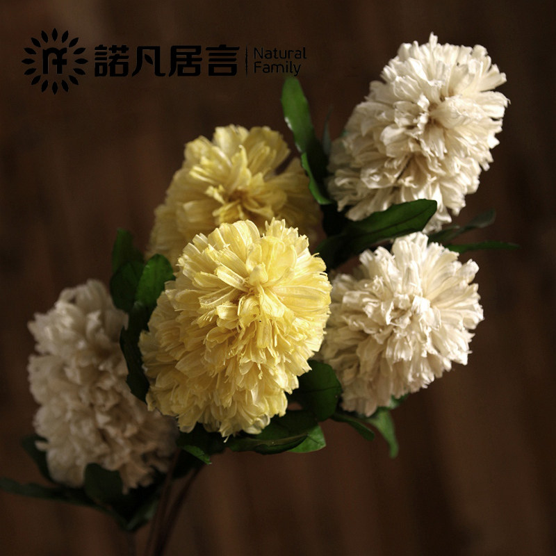 ŵ������������ڼٻ��������