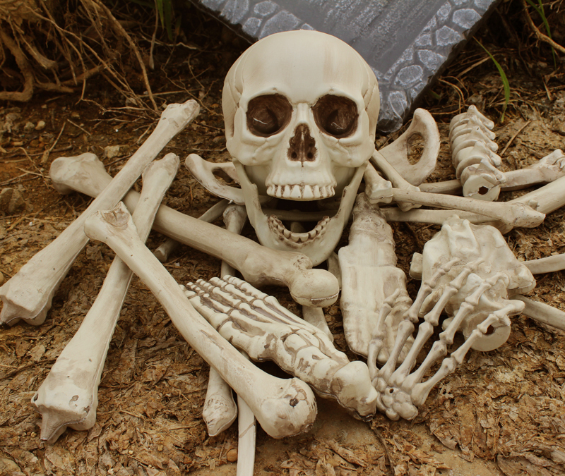Bar Haunted House Escape Room Props Halloween Decorations Skeleton Bones 28 Loose Bones Skull Human Bones