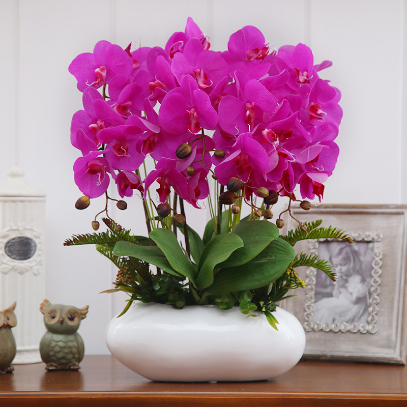 ֪��pu���滨������TZ-411