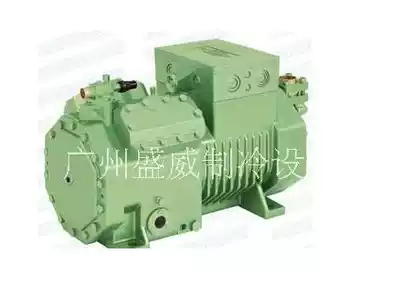 Original Bizel compressor 4VES-10 old model 4VCS-10 2 refrigerator compressor