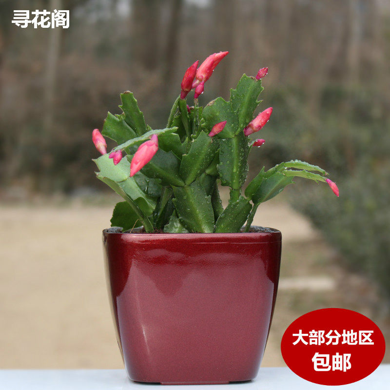 ��������������