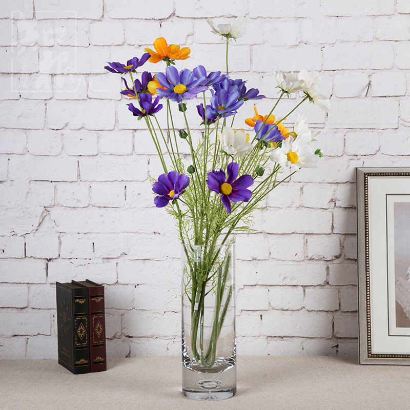 ֪�����滨BSJ-004