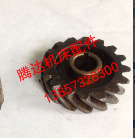 Shanghai Instrument Factory Y3608 Gear Hobbing Machine Parts 61337 Helical Gear Z16/Hole 14/Left-Hand Rotation 50 ° Shanghai Instrument Factory Y3608 Gear Hobbing Machine Parts 61337 Helical Gear Z16/Hole 14/Left-Hand Rotation 50 °