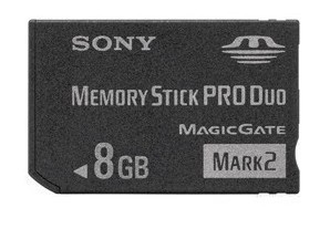 Sony 8G Memory DSC-W220 DSC-W220 W300 W300 W170 W290 Sony Camera Memory Card Storage Card MS Card-Taobao